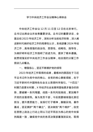 学习中央经济工作会议精神心得体会.docx