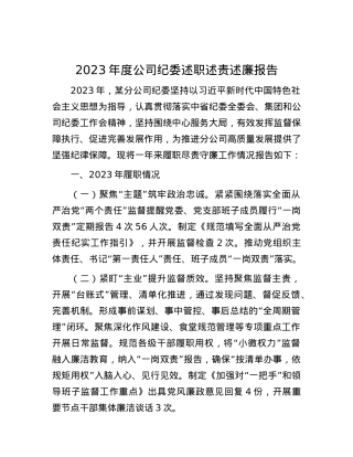 2023年度公司纪委述职述责述廉报告.docx
