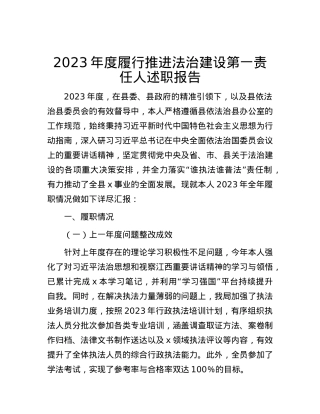 2023年度履行推进法治建设第一责任人述职报告.docx