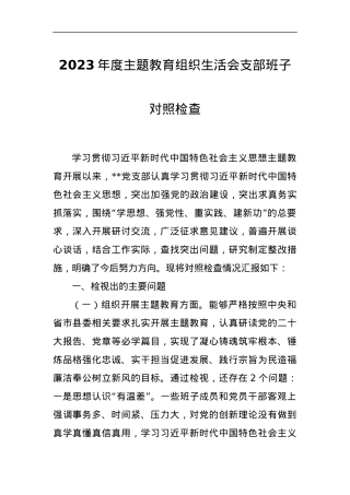 2023年度主题教育组织生活会支部班子对照检查.docx