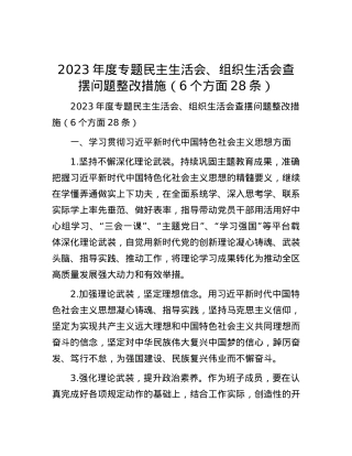 2023年度专题民主生活会、组织生活会查摆问题整改措施（6个方面28条）.docx