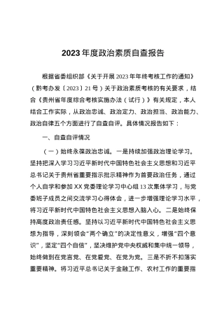 2023年政治素质自查报告.docx
