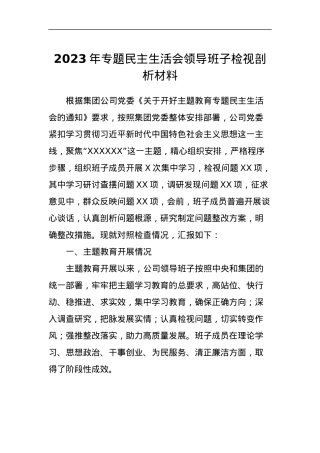 2023年专题民主生活会领导班子检视剖析材料.docx