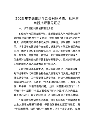 2023年专题组织生活会对照检查、批评与自我批评意见汇总.docx