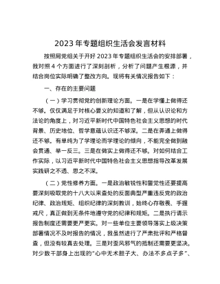 2023年专题组织生活会发言材料.docx