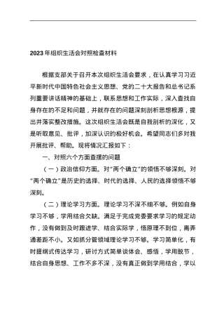 2023年组织生活会对照检查材料.docx