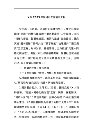 X区2023年网格化工作情况汇报.docx