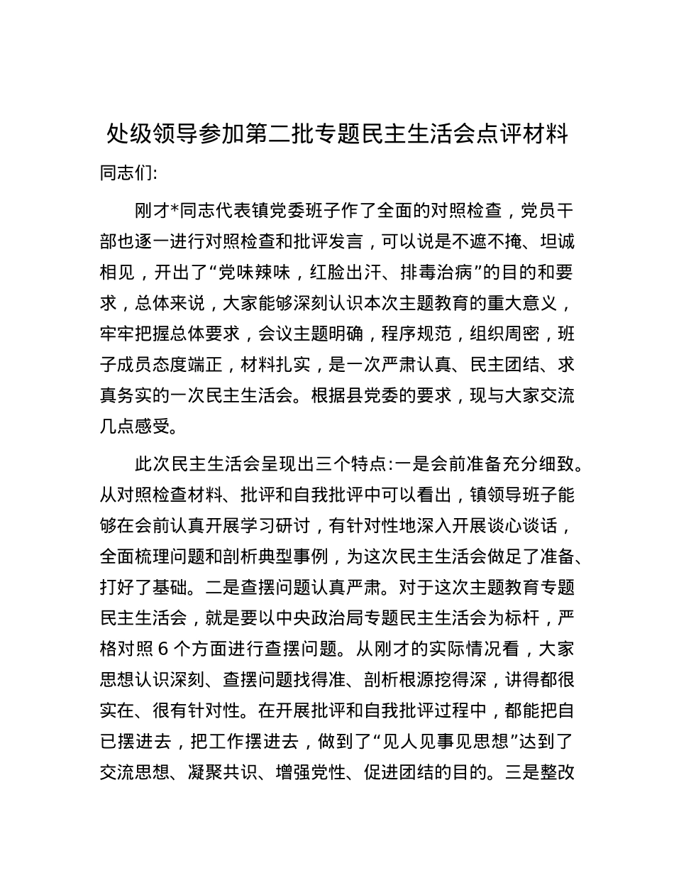 处级领导参加第二批专题民主生活会点评材料.docx_第1页