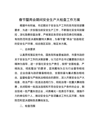 春节暨两会期间安全生产大检查工作方案.docx