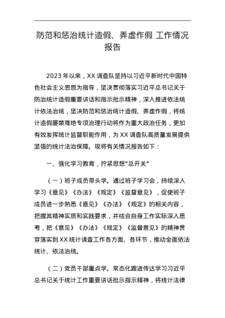 防范和惩治统计造假、弄虚作假 工作情况报告.docx