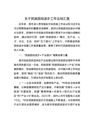 关于民族团结进步工作总结汇报.docx