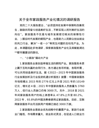 关于全市家政服务产业化情况的调研报告.docx
