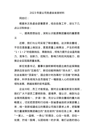 国企2023年度公司务虚会发言.docx