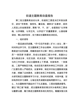 街道主题教育自查报告.docx