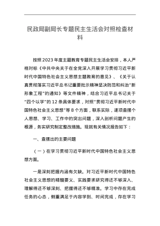 民政局副局长专题民主生活会对照检查材料.docx