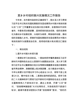 某乡乡村组织振兴实施情况工作报告.docx