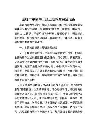 区红十字会第二批主题教育自查报告.docx