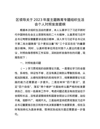 区领导关于2023年度主题教育专题组织生活会个人对照发言提纲.docx