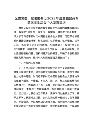 区委常委、政法委书记2023年度主题教育专题民主生活会个人发言提纲.docx