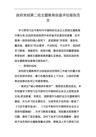 区政府主题教育自查评估报告成效问题原因工作汇报总结第二批次.docx