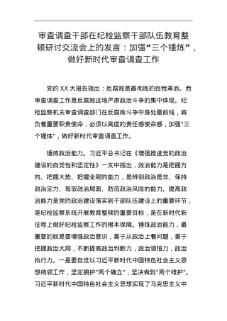 审查调查干部在纪检监察干部队伍教育整顿研讨交流会上的发言：加强“三个锤炼”，做好新时代审查调查工作.docx