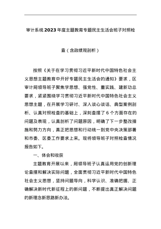 审计系统2023年度主题教育专题民主生活会班子对照检查（含政绩观剖析）.docx