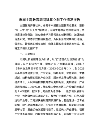 市局主题教育期间建章立制工作情况报告.docx