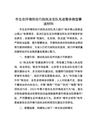 市生态环境综合行政执法支队先进集体典型事迹材料.docx