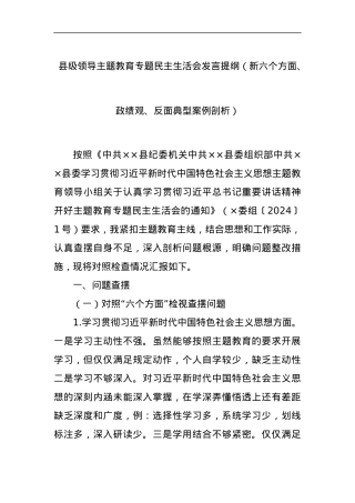 县级领导主题教育专题民主生活会发言提纲（新六个方面、政绩观、反面典型案例剖析）.docx