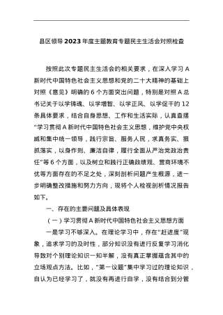 县区领导2023年度主题教育专题民主生活会对照检查.docx