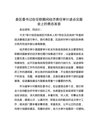 县区委书记在任职期间经济责任审计进点见面会上的表态发言.docx