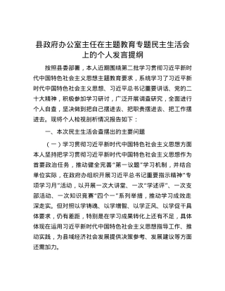 县政府办公室主任在主题教育专题民主生活会上的个人发言提纲.docx