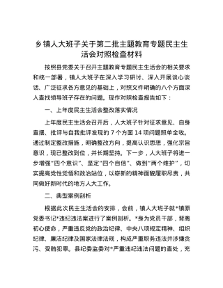 乡镇人大班子关于第二批主题教育专题民主生活会对照检查材料.docx