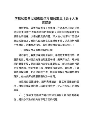 学校纪委书记巡视整改专题民主生活会个人发言提纲.docx