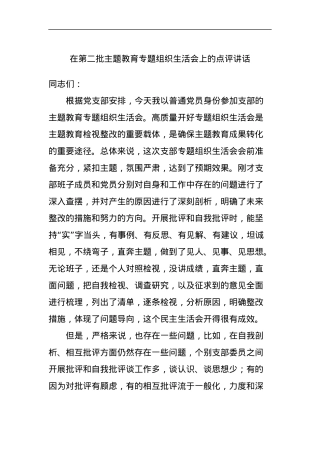 在第二批主题教育专题组织生活会上的点评讲话.docx