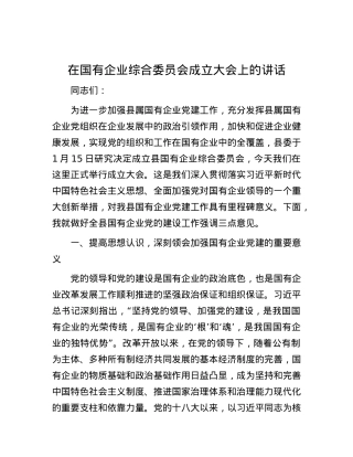 在国有企业综合委员会成立大会上的讲话.docx