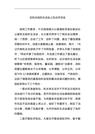 在机关组织生活会上的点评讲话.docx
