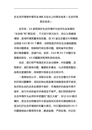 在生态环境保护委员会XX次会议上的表态发言（生态环保表态发言）.docx
