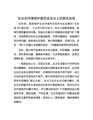 在生态环境保护委员会会议上的表态发言.docx