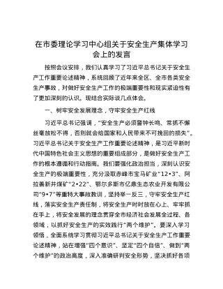 在市委理论学习中心组关于安全生产集体学习会上的发言.docx