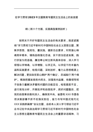 在学习贯彻2023年主题教育专题民主生活会上的发言提纲（新六个方面、反面典型案例剖析）.docx