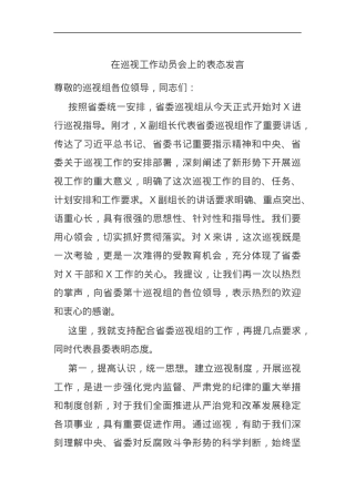 在巡视工作动员会上的表态发言.docx