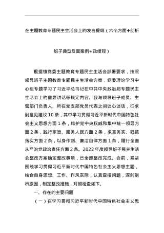 在主题教育专题民主生活会上的发言提纲（六个方面+剖析班子典型反面案例+政绩观）.docx