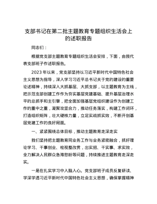 支部书记在第二批主题教育专题组织生活会上的述职报告.docx