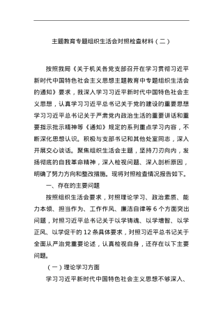 主题教育专题组织生活会对照检查材料（二）.docx