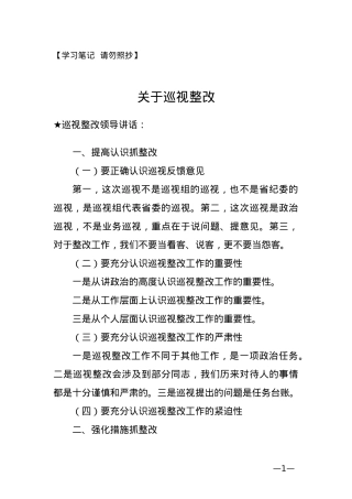 【讲话类】关于巡视整改.doc