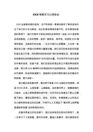 XXX考察学习体会.docx