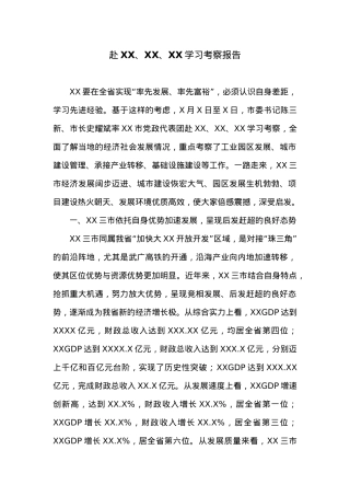 XX市党政代表团——赴XX市、XX市、XX市学习考察报告.docx