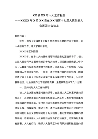 XX镇XX年人大工作报告.docx