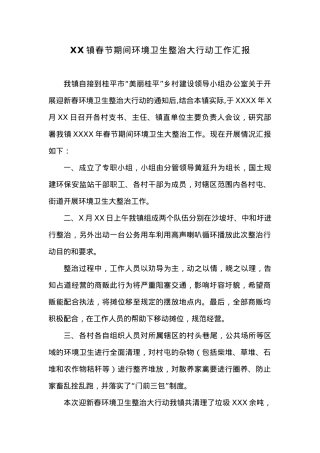 XX镇春节期间环境卫生整治大行动工作汇报.docx